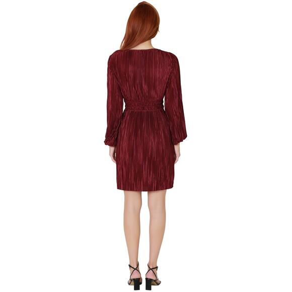 Lucy Paris Rosa Mini Dress Fit & Flare V Neck Pleated Long Sleeve Maroon Size L - Picture 3 of 10